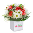 This cheerful bouquet, arranged in a crisp white gift bag, exudes the embrace of springtime in St Paul's Cray. A joyful riot of coral and soft peach carnations, with their abundant, ruffled petals, is nestled alongside crisp white daisies, the faces of which gleam with golden-green centers. Wisps of gypsophila float through the arrangement, reminiscent of a light mist over Priory Gardens in the early morning, bringing a gentle innocence and airy fullness to the ensemble. Hints of closed, purple-tipped buds peek out on one edge, suggesting new beginnings and the possibilities of the season. Carefully circled by lush, broad-leaved greenery, the bouquet seems to radiate freshness and caring-a loving gesture ready for occasions from birthdays to just-because deliverables along Main Road or near Cotmandene Crescent. The pristine white background and clean lines of the gift bag, with sturdy white ribbons, keep the focus on the colourful vibrancy of the flowers. Expertly arranged, every bloom, leaf, and stem represents the heartfelt joy and attention found in every corner of St Paul's Cray's community flower shops.